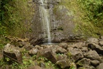 Waterfall in Manoa park