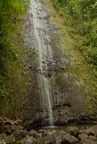 Waterfall in Manoa park