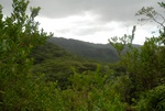 View on the top