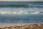 Sunset beach